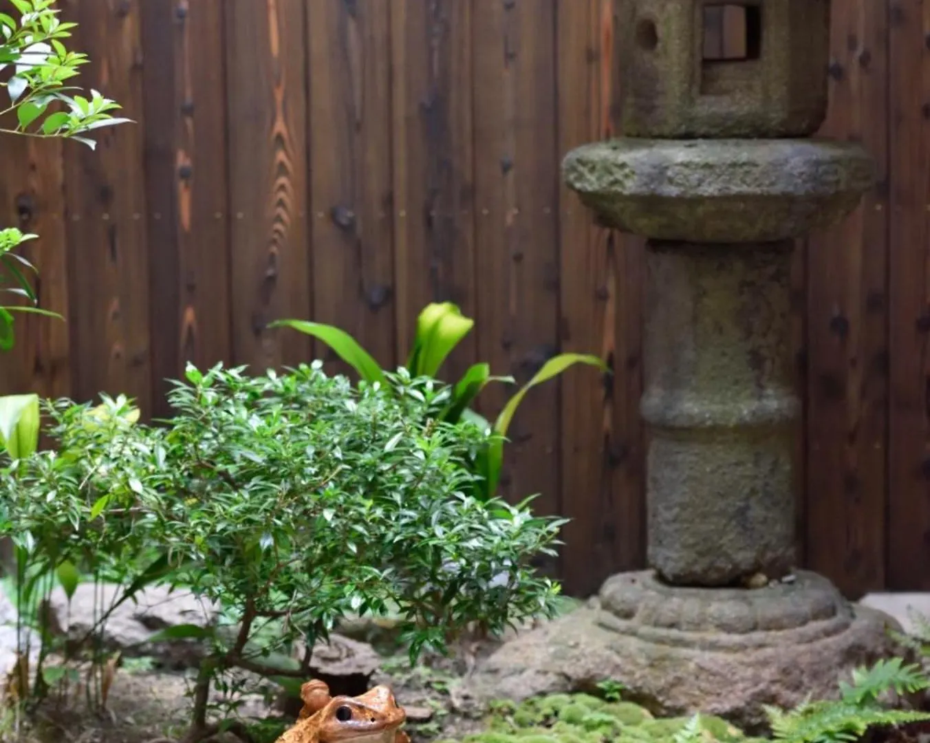 Kasuian Villa Kyoto 0*,  Japan