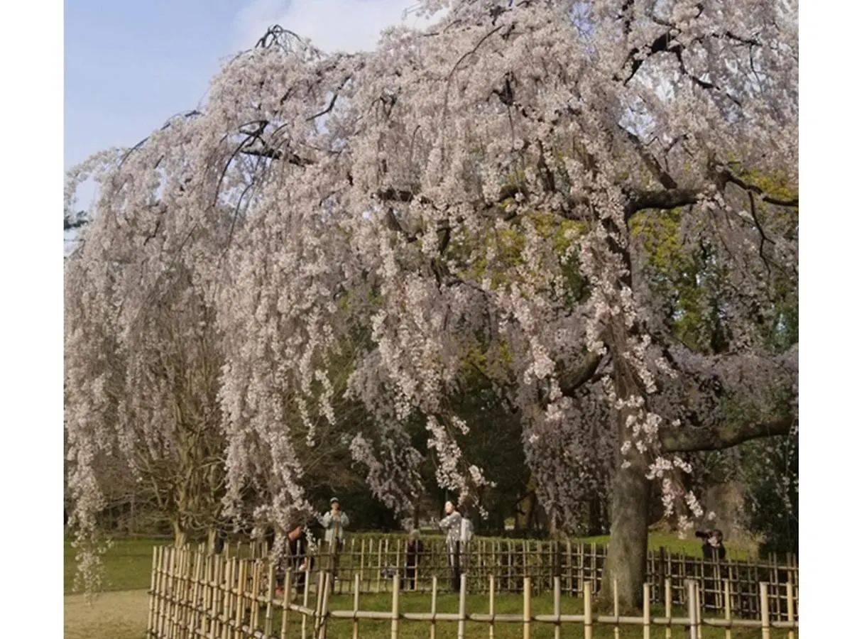 Kasuian Villa Kyoto 0*,
